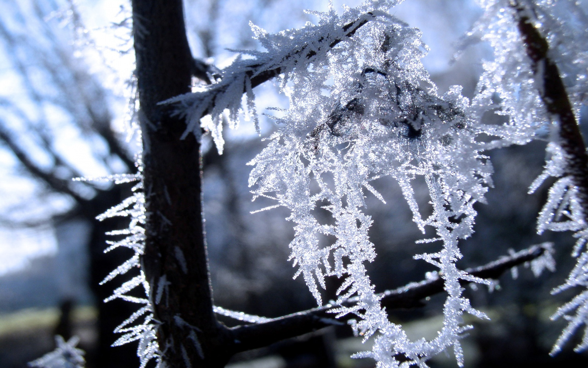 Аномальные холода ожидаются в Нижегородской области до 25 февраля