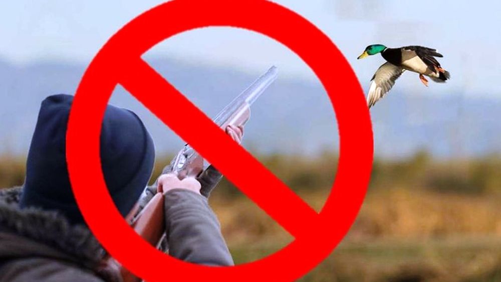 С 1 марта в Нижегородской области вводятся ограничения на охоту