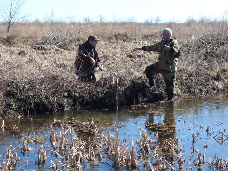 С 22 марта в Нижегородской области начинается выдача разрешений на охоту на пернатую дичь.