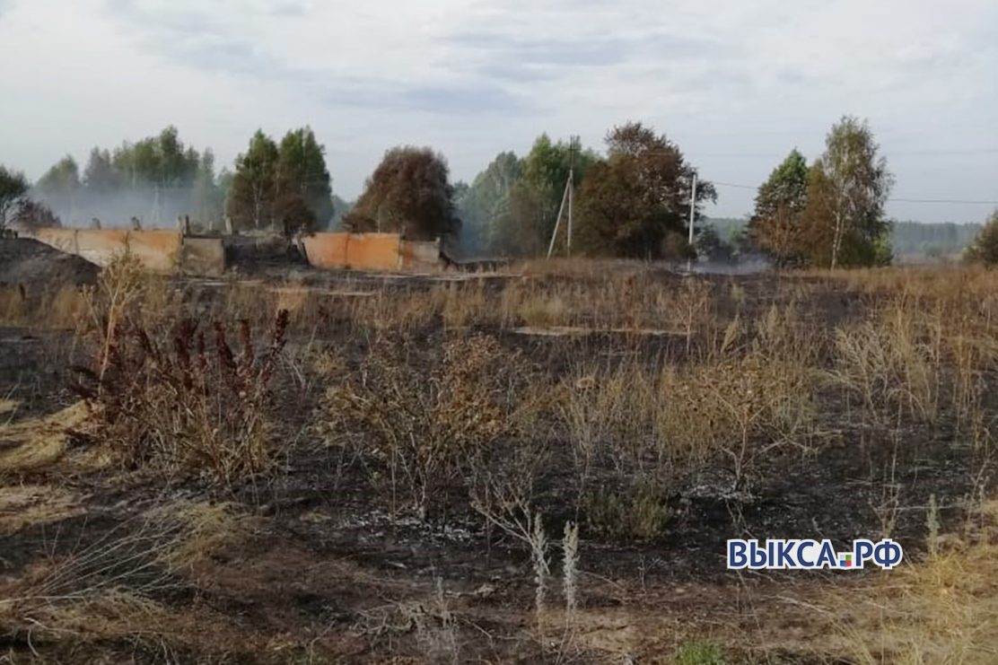 В Туртапке сгорели три гектара травы и заброшенный коровник