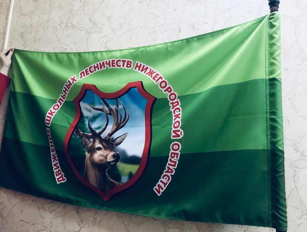 В Выксе и еще трех районах Нижегородской области созданы новые школьные лесничества