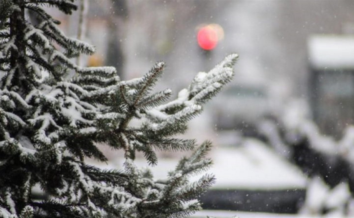 Небольшие морозы и снегопады придут в Нижегородскую область с 15 ноября