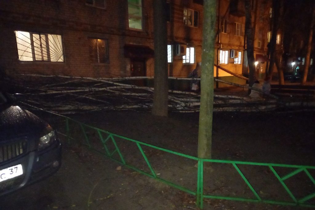 Во время урагана в Выксе на девочку упало дерево