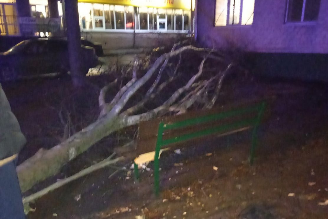 Во время урагана в Выксе на девочку упало дерево