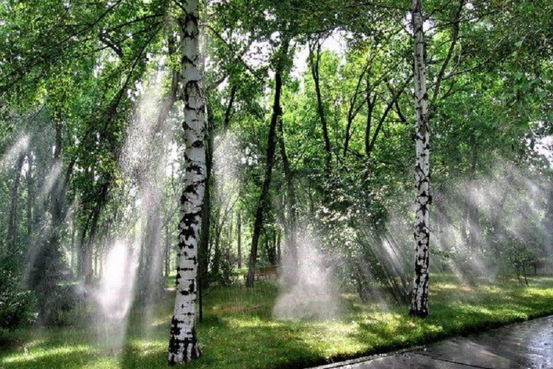 Небольшие дожди с температурой до +21°C ожидаются в Нижегородской области в выходные