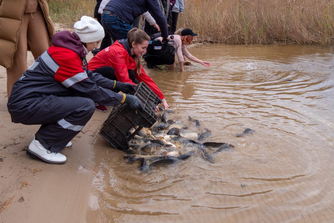 Волонтеры очистили территорию Верхневыксунского пруда при поддержке ОМК