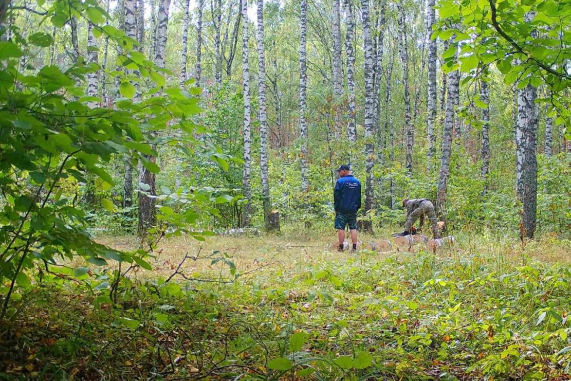 Прибор «Лесник» обнаружил незаконную рубку и хищение древесины в двух районах Нижегородской области