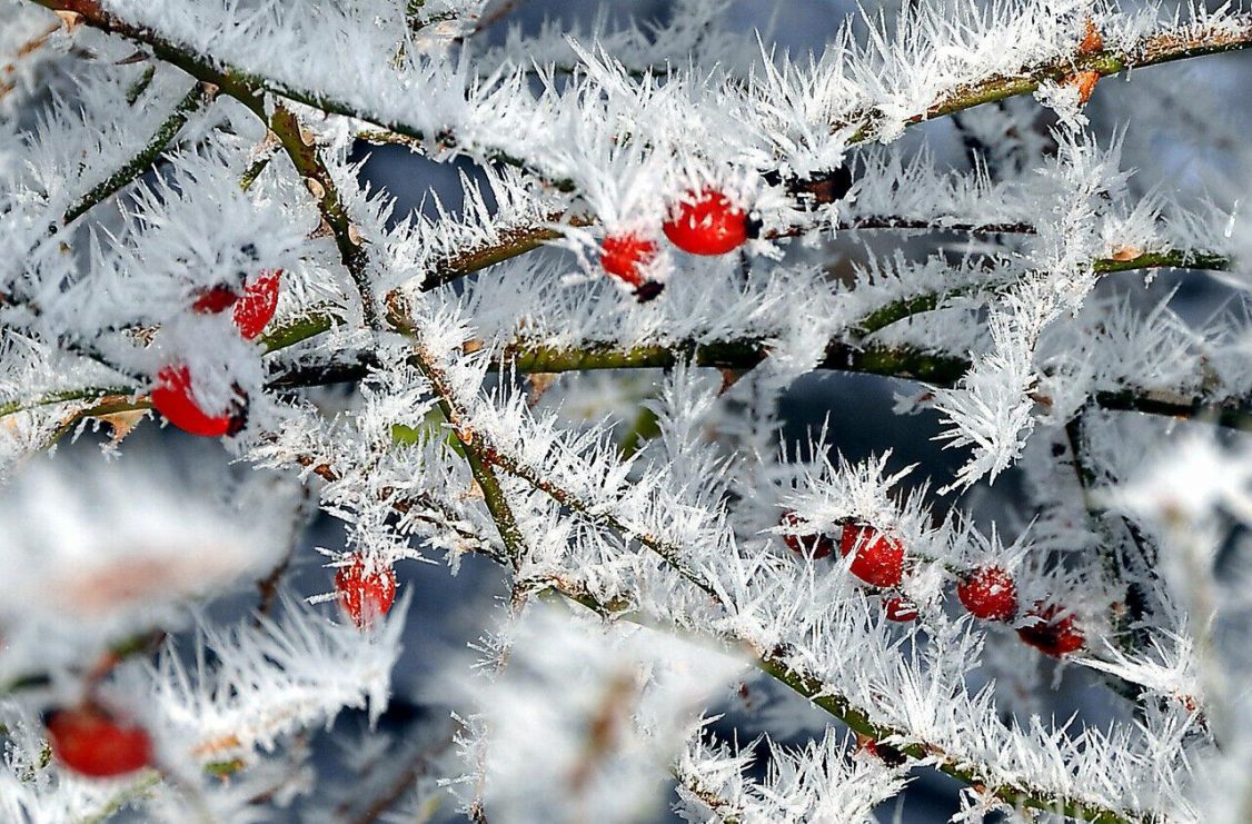 Мороз на 7 градусов ниже нормы ожидается в Нижегородской области в ближайшие дни