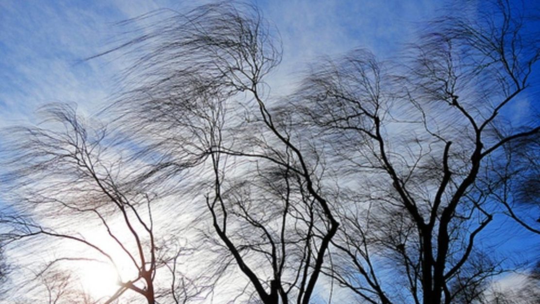 Сильный ветер с порывами до 15 – 20 метров в секунду ожидается в Нижегородской области