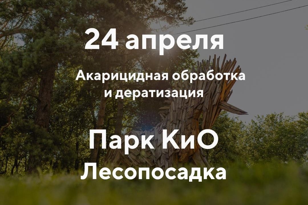 В лесопосадке и парке КиО будет проводиться акарицидная обработка