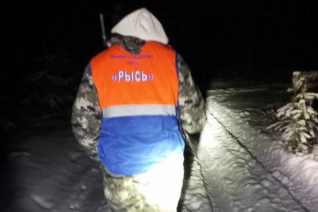 87-летний мужчина насмерть замерз в лесу в Выксе