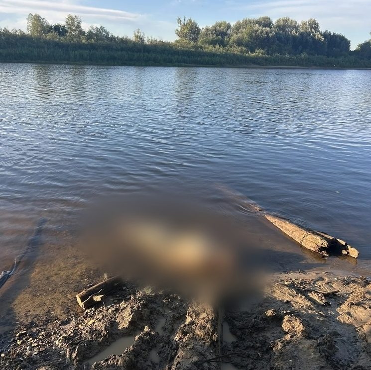 В р/п Досчатое из Оки извлекли тело погибшего мужчины