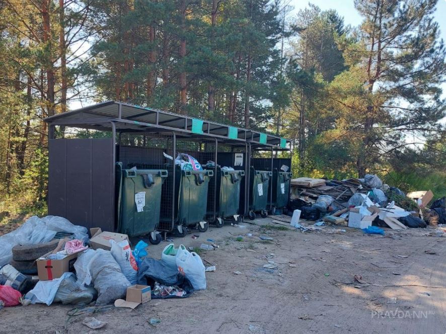 300 камер будут фиксировать нижегородцев, выбрасывающих мусор где попало