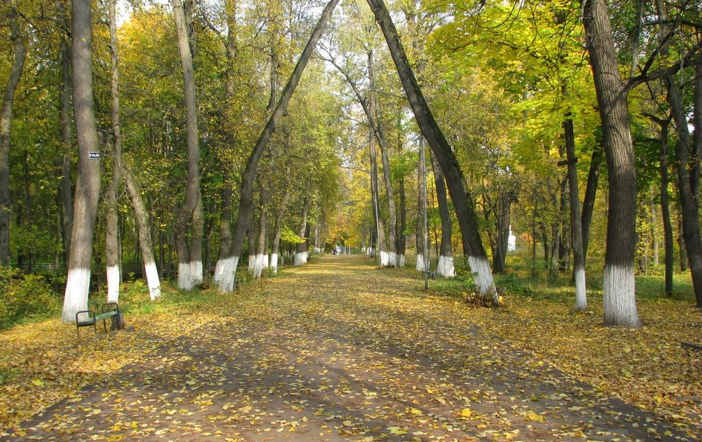 Какая погода ожидает нас в последнюю неделю лета