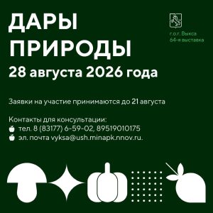 Городской округ город Выкса