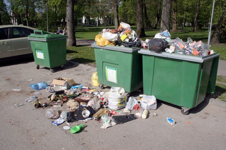 Ночью в мкр. Юбилейный, 6 неизвестный разбросал пакеты с мусором из контейнера