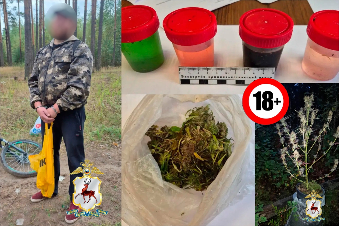 В Выксе полицейские задержали электромонтёра за незаконный оборот наркотиков
