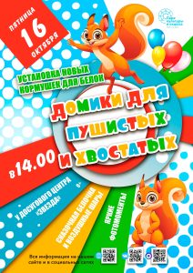 Приглашаем на установку беличьих кормушек в парке