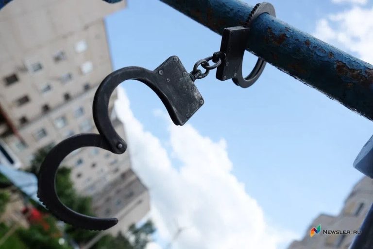 В Выксе полицейские установили похитителя портфеля с деньгами и документами